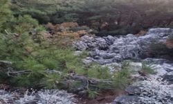 Proje 3 kez iptal edilmişti: İzmir’de ormanın kalbine taş ocağı ısrarı!