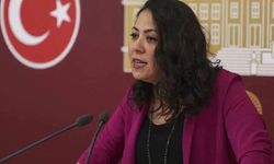 TİP'li Kadıgil: 19 Mart Darbesinin 'yıldızı' artık Adalet Bakanı