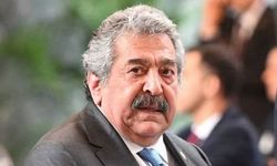 Feti Yıldız: AİHM kararlarına uymak lazım