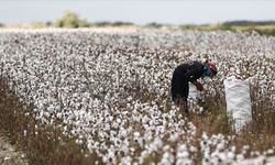 CHP'li Tevfik Türk uyardı: İzmir, Küçük Menderes Havzası'nda tarımsal kırılma