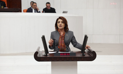 CHP’li Gülcan Kış: Ekonomi borç ve işsizlik sarmalında