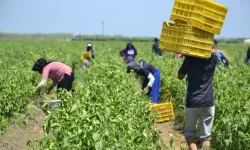 SGK duyurdu: 2025’te kayıt dışı istihdama 4 milyar TL ceza kesildi