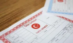 Tapu, hobi bahçesi ve alkol satışına yeni düzenlemeler getiriliyor