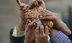 Korkutan 'gıda krizi' uyarısı: Gübre şoku kıtlığa sürükleyebilir