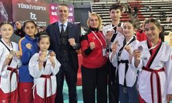 Seferihisar'dan Taekwondo zaferi