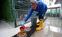Buca'da can dostlara beş yıldızlı bakım