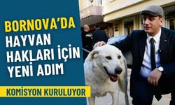 Bornova’da hayvan hakları için yeni adım: Komisyon kuruluyor