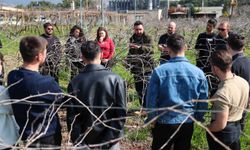 Buca’nın bağlarında geleceğin ziraat mühendisleri yetişiyor