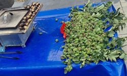 Baharın ilk meyvesi çağlabadem çıktı, fiyatı cep yakıyor