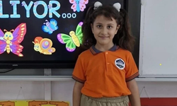 9 yaşındaki Ebrar yük asansöründen düşen koltukla yaşamını yitirmişti: Davada karar çıktı