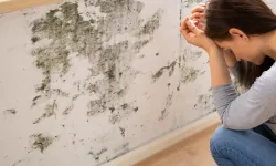 Evlerin gizli tehlikesi: Küfle mücadelede kritik adımlar