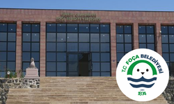 Foça'da köpek saldırısı iddiası sonrası gerginlik: Belediyeden açıklama geldi