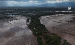 Gediz Nehri taştı: Manisa'da tarım arazileri su altında kaldı
