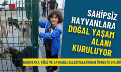 Karşıyaka, Çiğli ve Bayraklı belediyelerinden örnek iş birliği: Sahipsiz hayvanlar için Doğal Yaşam Alanı kuruluyor