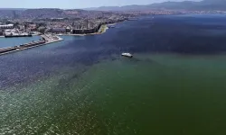 ABD’li ve Çin’li bilim insanlarından İzmir Körfezi için modifiye kil önerisi