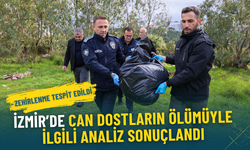 İzmir’de 8 hayvanın ölümüyle ilgili analiz sonuçlandı: Zehirlenme tespit edildi, savcılık süreci başladı