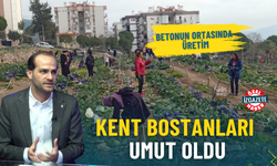 İzmir’de betonun ortasında üretim: Kent bostanları umut oldu