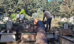 İzmir’deki fırtınadan mezarlıklar etkilendi: Devrilen ağaçlar kaldırıldı, onarıma başlandı