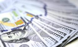 Euro geriledi, dolar yükselişini sürdürüyor