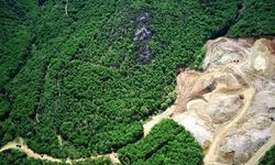 DEM Partili Akın'dan Bakan Bayraktar'a maden ruhsatlarıyla ilgili soru önergesi: 30 gün inceleme için yetersiz!