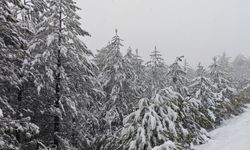 Manisa'da kar sürprizi: Yüksek kesimler beyaza büründü