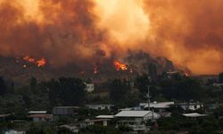Ciğerlerimiz yandı: 2025’te 81 bin hektar orman kül oldu!