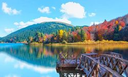 Resmî Gazete'de yayımlandı: Milli parklar yapılaşmaya açılacak