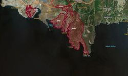 DEVA Partisi’nden İzmir’de orman tahsislerine tepki: Kıymayın efendiler!