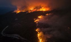 1 yılda 3 bin 224 yangın: Yalova büyüklüğünde orman kül oldu!