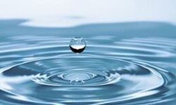 Kazdağı Doğal ve Kültürel Varlıkları Koruma Derneği'nden Dünya Su Günü açıklaması