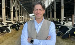 CHP’li Solakoğlu’ndan tavuk sektöründeki ihracat yasağına tepki: Gıda enflasyonuna ters etki yapacak!