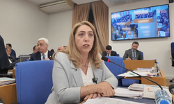 Disiplin süreci başlatıldı: DEM Parti Milletvekili Aydeniz TBMM İdare Amirliği görevinden çekildi