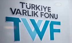 Türkiye Varlık Fonu'nun Sayıştay denetiminden istisna tutulması yargıya taşındı