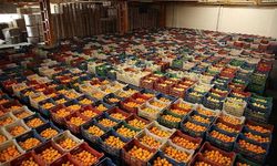 Ege Yaş Meyve Sebze İhracatından sürdürülebilirlik: 3 önemli proje hayata geçirildi!