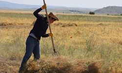 TÜİK açıkladı: Çiftçinin maliyeti Ocak’ta da arttı
