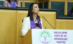 DEM Parti'den Ekrem İmamoğlu mesajı: Demokrasiden bahsedemeyiz!