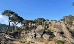 Latmos tehdit altında: Binlerce yıllık kaya resimleri yok ediliyor!