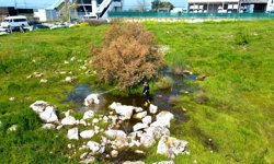 Torbalı’da sivrisineğe geçit yok: 12 ay süren mücadele