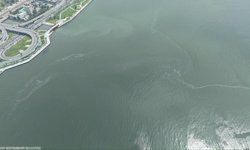 İzmir düşmanları bu kez Bayraklı kıyısını kirletti!