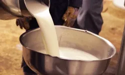 Mazot ve yem fiyatları etkiledi: Çiğ süt maliyeti yükseldi
