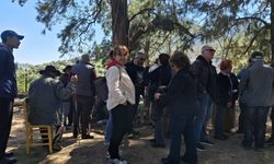 Karaburun’un simgesi Nergis Çay Bahçesi için eylem: Oyun parkına değil yerine karşıyız!