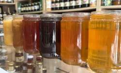 Sahte bala karşı önlem: Temel petek kriterleri değişiyor!