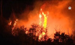 Beykoz'daki yangın yeniden alevlendi: Müdahale sürüyor