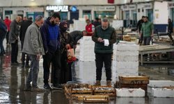 Egeli balıkçılar av sezonunu mutlu uğurluyor: Hamsi ve sardalya bolluğu yüzleri güldürdü