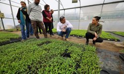 CHP’li Solakoğlu'ndan Selçuk’ta yerinde inceleme: Tarımda köy enstitüsü modelini yeniden kuracağız