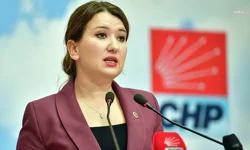 CHP'li Gökçen açıkladı: İlk işimiz İstanbul sözleşmesi!