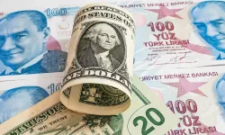 Reel efektif döviz kuru yükseldi: 14 ayın zirvesine çıktı
