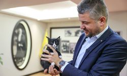 Buca’da 599 patili dost sıcak yuvaya kavuştu: Başkan Duman’dan hayvanseverlere çağrı