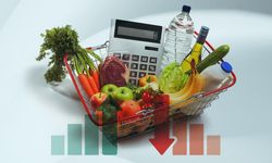 Mevsim etkisinden arındırılmış enflasyon belli oldu