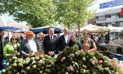 Enginarın kalbi Urla'da atacak